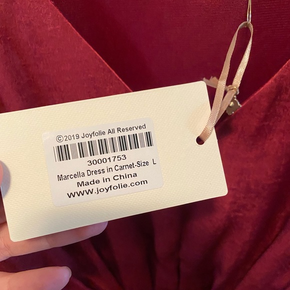 NWT Joyfolie Marcella Dress in Carnet - Picture 5 of 8